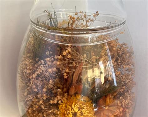 Beach Terrarium/ Terrarium Container /miniature Beach/ Glass Terrarium ...