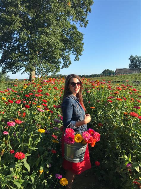 Where to Pick Your Own Flowers in Massachusetts - The A-Lyst