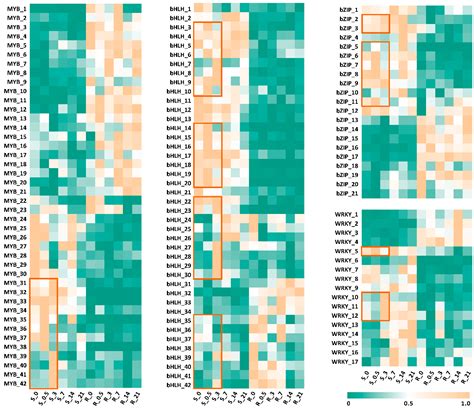 The Dynamic Changes in Biosynthesis and Spatiotemporal Distribution of ...