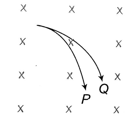 Two charged particles `P` and `Q` enter a uniform magnetic field ...