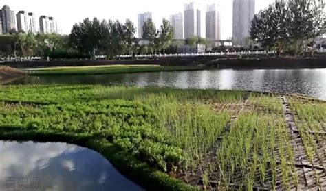芜湖市公布建筑工地大气污染防治典型案例-国际环保在线