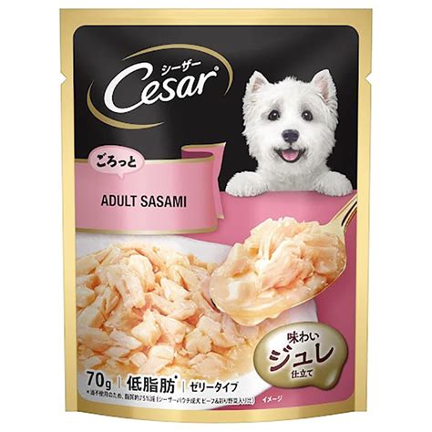 Buy Cesar Adult Sasami Dog Wet Food Online | Supertails