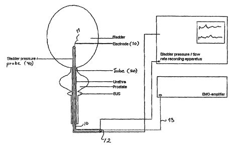 micturition-千图网