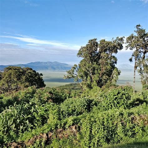 NGORONGORO SOPA LODGE (Ngorongoro Conservation Area) - Lodge Reviews ...