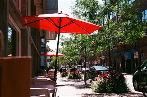 A Comprehensive Harvard Square Restaurant Guide | Arts | The Harvard ...