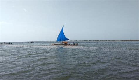 Pulicat Lake Chennai | WhatsHot Chennai