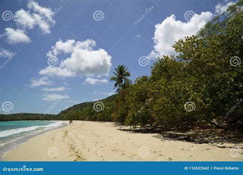 Caribbean, French West Indies, Guadeloupe Island Stock Photo - Image of ...