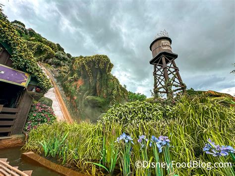 The Big PROBLEM You May Have With Magic Kingdom Virtual Queues Starting ...