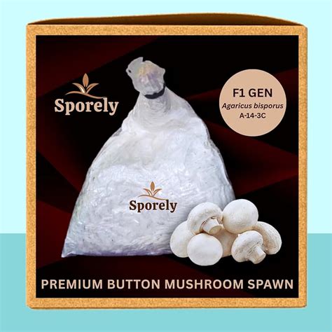 Amazon.in: Mycelium