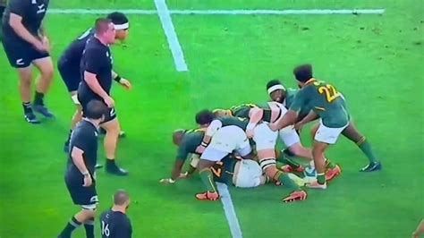Springboks Match Analysis 的图像结果