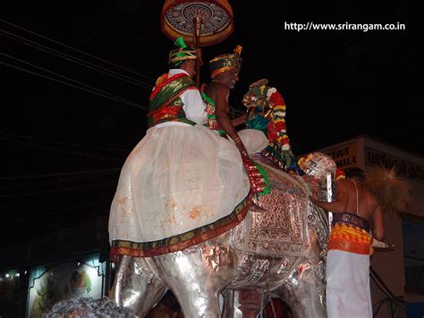 Srirangam Renganathar Kudhiri (Horse) Vaganam Photos