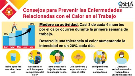 Construction Executive | Welcome