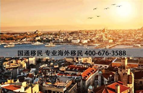 2021（南京）第十八届海外置业移民展览会 - 前瞻峰会
