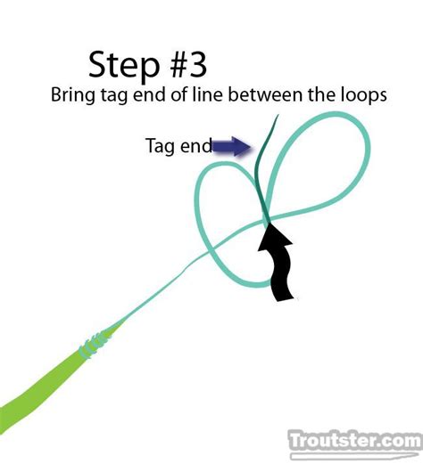 Image result for Loop to Loop Knot On Fly Line
