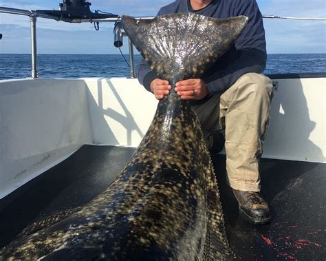 ALASKA SALTWATER ADVENTURES (2026) All You Need to Know BEFORE You Go ...