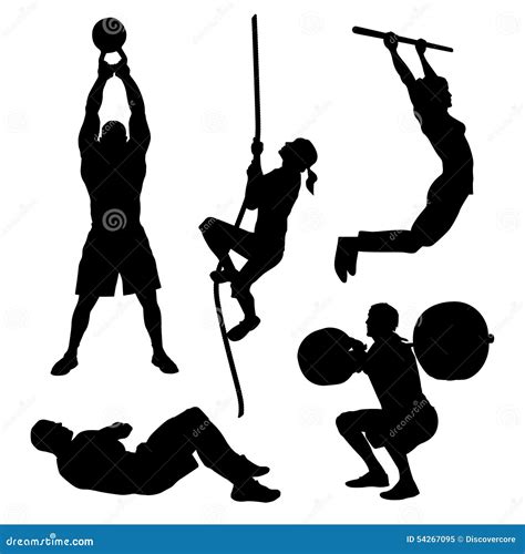 Exercise 动画 的图像结果