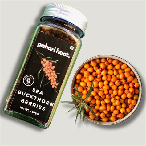 Sea Buckthorn Bulk Supplier in India | Berries, Powder, Leaves, Oil ...