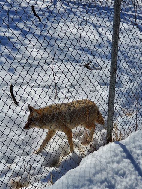 Bay Beach Wildlife Sanctuary | wisconsinharbortowns.net