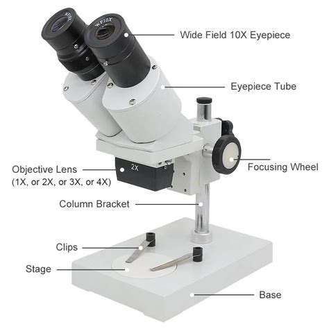 Image result for Stereo Microscope Uses