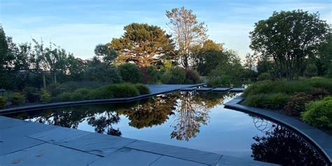 Image result for DIY Reflection Pool