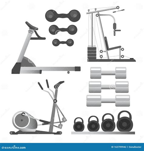 Equipamiento de fitness y entrenamiento