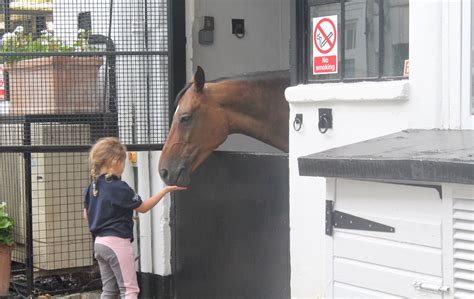 Hyde Park Stables – Aktivitet – London – Thatsup