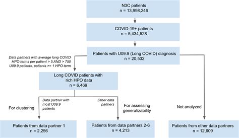 Generalisable long COVID subtypes: findings from the NIH N3C and ...