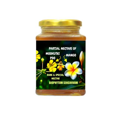 Wild Honey From The Mango Nectars And Biophytum sensitivum - Partial N ...