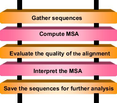 Image result for MSA Programs Requirements