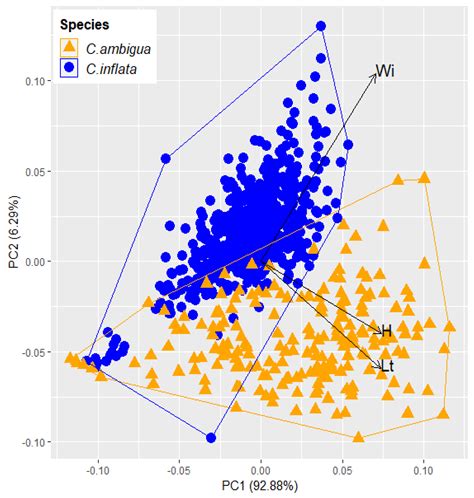 Phylogenetic Assessment of Freshwater Mussels Castalia ambigua and C ...