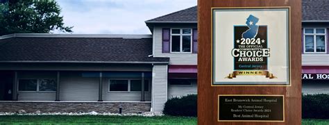 Veterinarian in East Brunswick, NJ | East Brunswick Animal Hospital