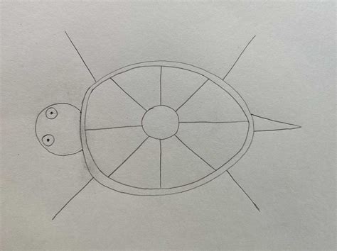 Image result for Simple Turtle Drawing