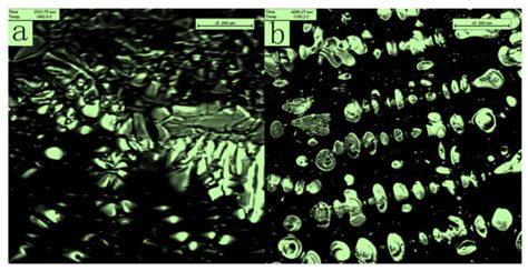 Migration Behavior of Inclusions at the Solidification Front in Oxide ...