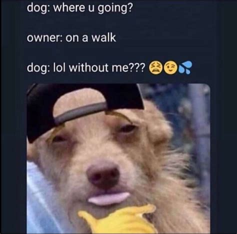 Light Skin Face Memes Omg This Is Just A Joke.., Before Some People