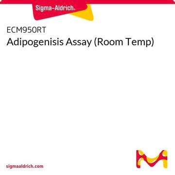 Adipogenisis Assay (Room Temp) | Sigma-Aldrich