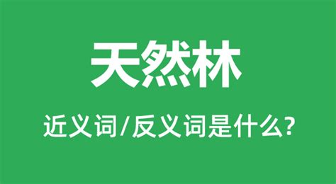 天然林的近义词和反义词是什么_天然林是什么意思?_学习力