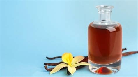 DEBRA cosmetics Vanilla Essential Oil 30ml for Home Fragrance ...