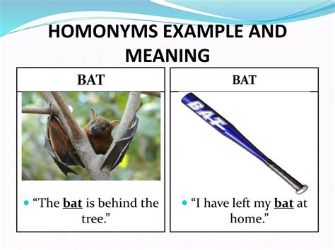Homonyms | PPTX