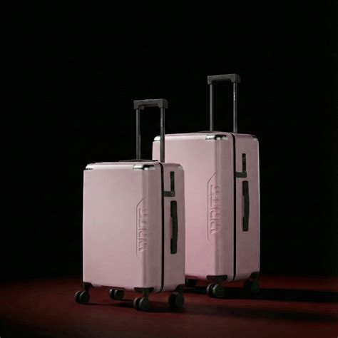DAWN X Set Of 2 Luggage | 80:20 Trunk-Style Luggage – WNTR