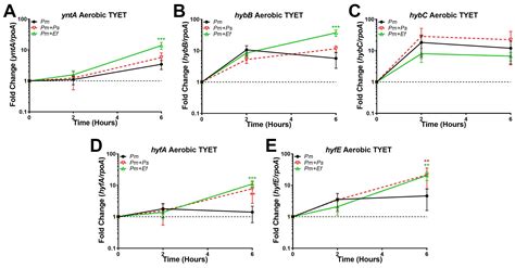 Differential Contribution of Hydrogen Metabolism to Proteus mirabilis ...