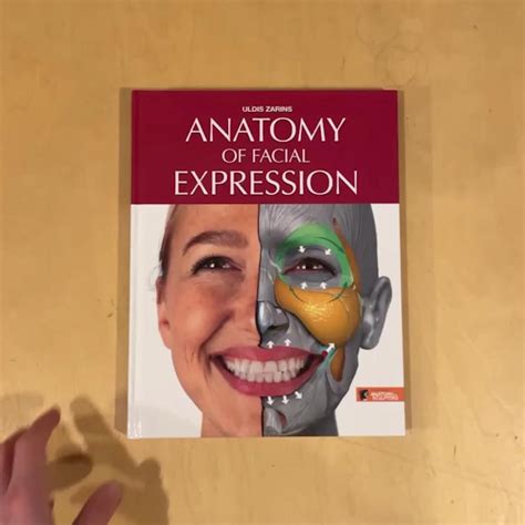 Anatomy of facial expression – Artofit