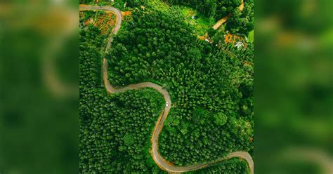 Discover The Best Brands & Recommendations For Weekend Getaways | LBB