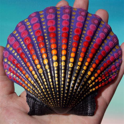 Image result for Painted Sea Shells
