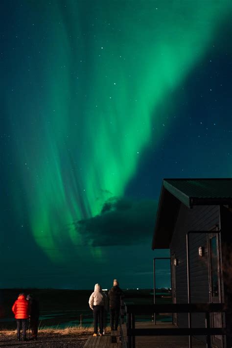 Northern Lights Bus Tour from Reykjavik with English or Spanish Guide ...