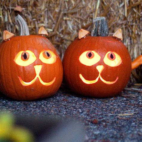 Cat Face Pumpkin Carving Kitty Jack O Lantern – ShowCatsOnline