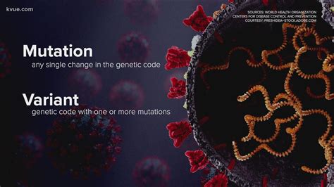 Here is why omicron is a variant of concern and what that means | kvue.com