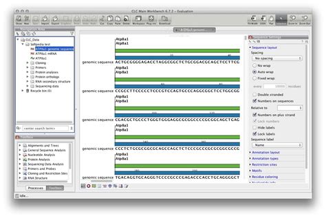 Image result for CLC Main Workbench Reviews