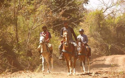 Giddy Up With These 5 Horse Riding Schools In & Around Pune | Pune ...