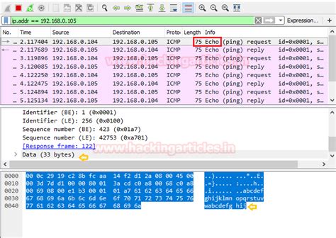 Understanding Guide to ICMP Protocol with Wireshark