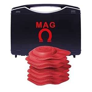 Biomagnetism FERRITe Magnets 8 Units KIT : Amazon.in: Office Products